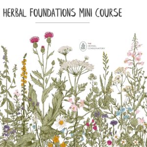 Herbal Foundations Mini Course