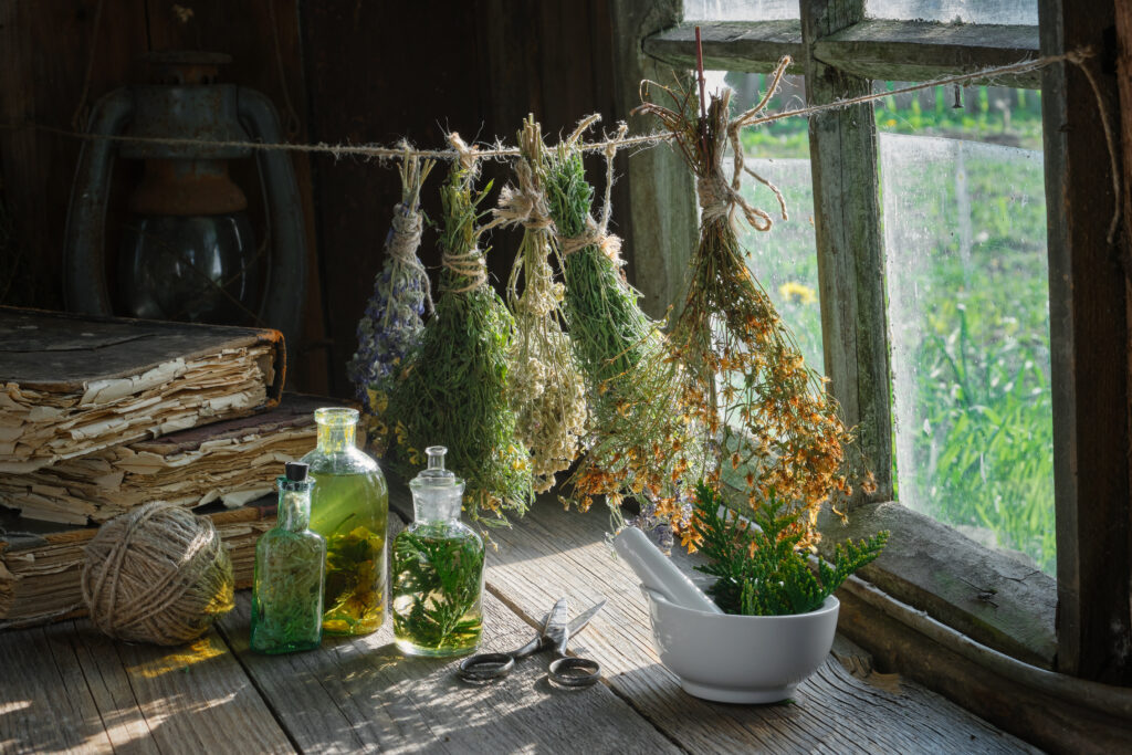 Herbs for fever
